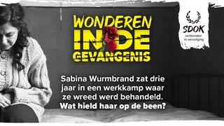 Wonderen in de gevangenis - Bijbellessen van Sabina Wurmbrand De Psalmen 77:1-2 Statenvertaling (Importantia edition)