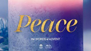 [The Words of Advent] PEACE ஏசாயா 9:6 இந்திய சமகால தமிழ் மொழிப்பெயர்ப்பு 2022