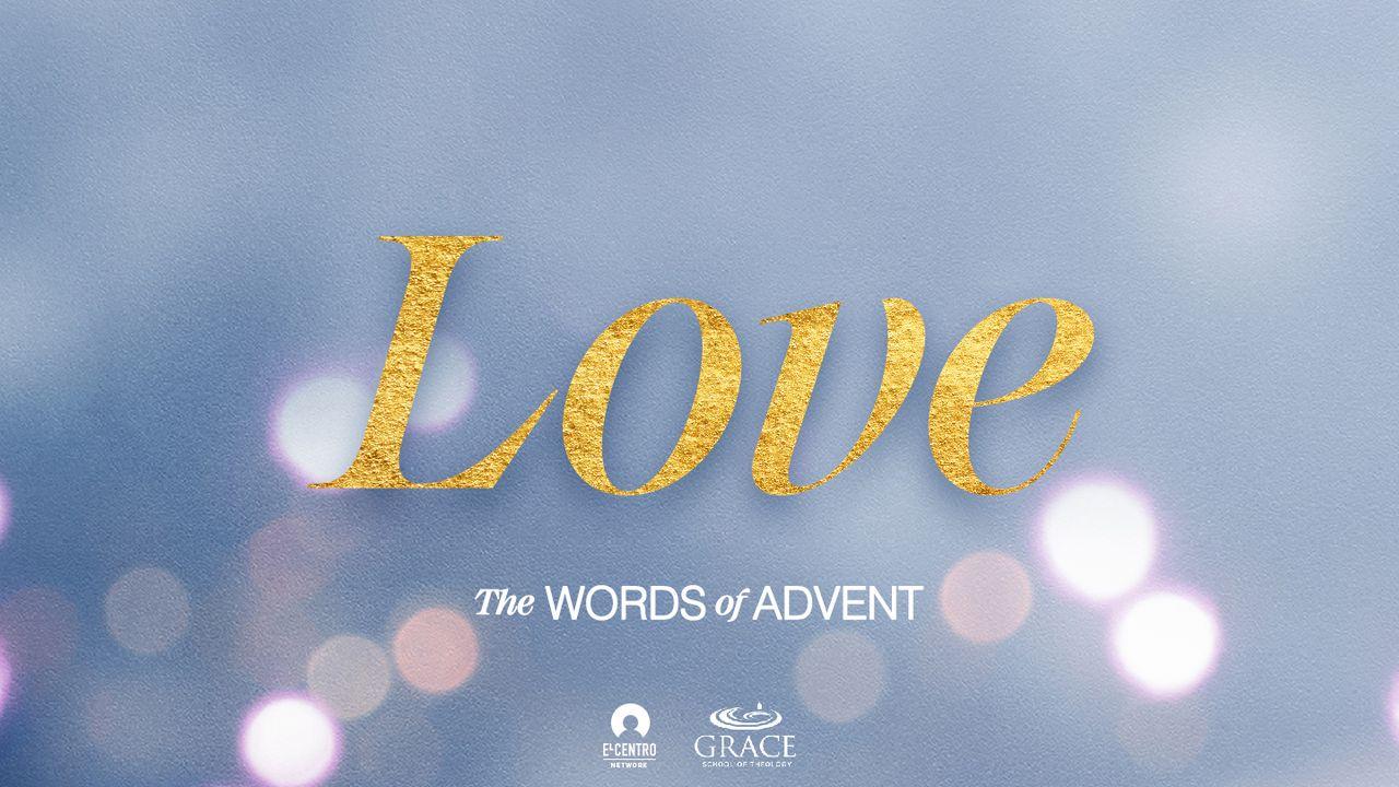 [The Words of Advent] LOVE