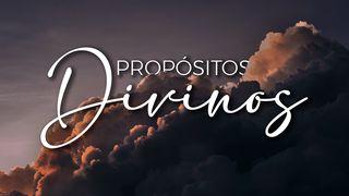 Propósitos Divinos Romanos 8:30 Nueva Versión Internacional - Español