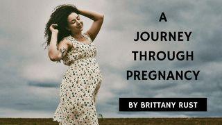 A Journey Through Pregnancy 箴言 16:32 Japanese: 聖書　口語訳