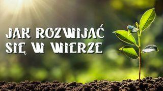 Jak rozwijać się w wierze? List św. Pawła do Filipian 1:9-10 Biblia Warszawska 1975