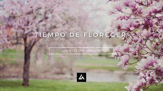 Tiempo De Florecer Juan 12:24 Nueva Versión Internacional - Español