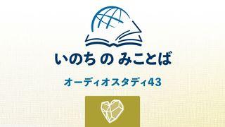 エゼキエル書 エゼキエル書 8:3 Seisho Shinkyoudoyaku 聖書 新共同訳