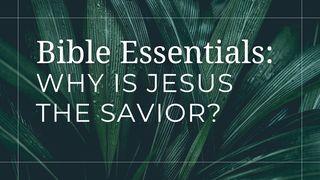 Why Is Jesus the Savior? Mathiu 4:17 Ȧŋlemrȧnɛ Ȧfu