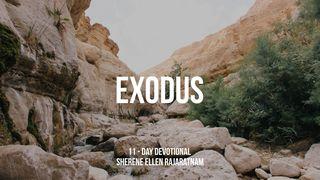 Through Exodus Exodus 23:30 New King James Version