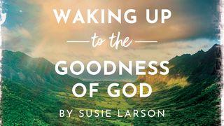 Waking Up to the Goodness of God Salmos 43:5 O Livro