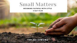 Small Matters: Becoming Faithful With Little Lukas 16:13 Surat Ralan na'a Vaidida