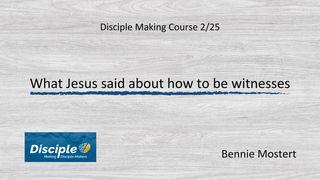 Jesus Said About How to Be Witnesses Psalms 14:2 New International Version