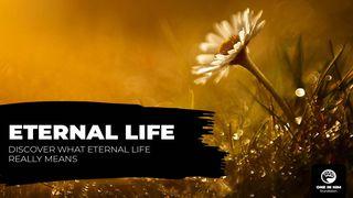 Eternal Life యోహాను 17:3 తెలుగు సమకాలీన అనువాదము