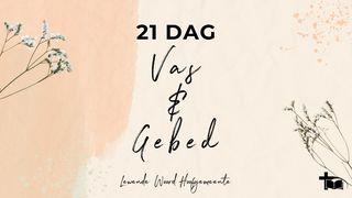 21 Dae Vas en Gebed 1 Timoteus 1:18 Die Bybel 2020-vertaling