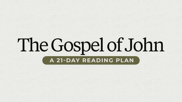 21 Days In The Gospel Of John With Levi Lusko 
