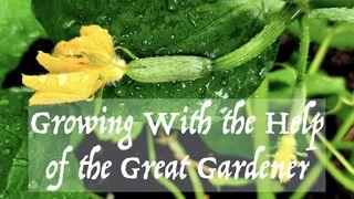 Growing With the Help of the Great Gardener Psalmen 94:14 Het Boek