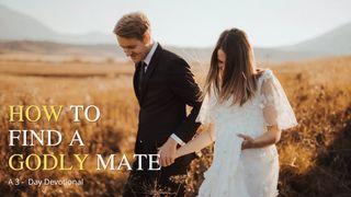 How to Find a Godly Mate De Spreuken van Salomo 11:14 Statenvertaling (Importantia edition)