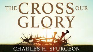 The Cross, Our Glory Matthew 28:2-4 New Living Translation