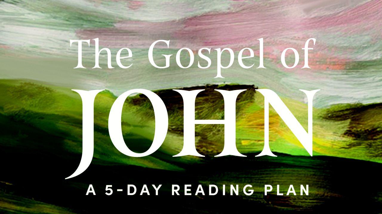 The Gospel of John: Savoring the Peace of Jesus in a Chaotic World