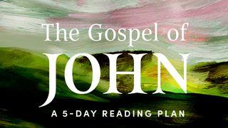 The Gospel of John: Savoring the Peace of Jesus in a Chaotic World John 2:19 New King James Version