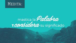 Medita: Mastica La Palabra Y Considera Su Significado Salmos 119:97-120 Biblia Dios Habla Hoy