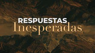 Respuestas inesperadas Hebreos 11:38-39 Nueva Traducción Viviente