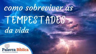 Como Sobreviver as Tempestades Da Vida SALMOS 107:29 a BÍBLIA para todos Edição Católica