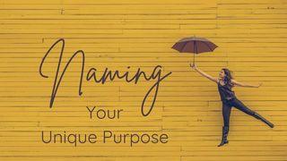 Naming Your Unique Purpose ေယရမိအနာဂတၱိက်မ္း 6:14 ျမန္​မာ့​စံ​မီ​သမၼာ​က်မ္