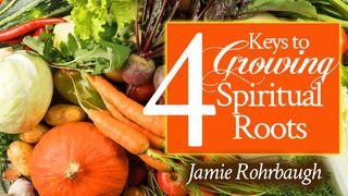 4 Keys to Growing Spiritual Roots San Lucas 6:36 Reina Valera Contemporánea