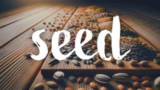 Seeds: What and Why  1 Corintios 13:3 La Biblia de las Américas