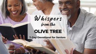 Whispers From the Olive Tree GENESIS 8:11 Bawm  Common Language Bible Version