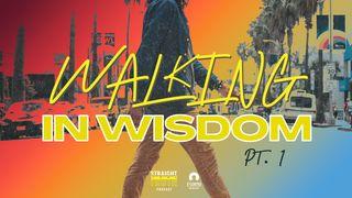 Walking in Wisdom Pt. 1 Proverbs 1:1-6 The Message