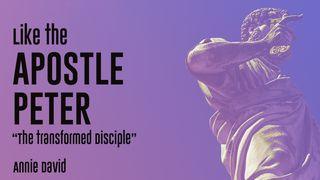 Like the Apostle Peter - ”The Transformed Disciple” 马太福音 16:13-20 新标点和合本, 神版