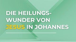 Die Heilungswunder von Jesus im Johannes-Evangelium Johannes 11:44 Hoffnung für alle