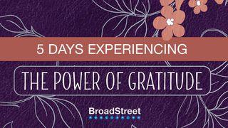 5 Days Experiencing the Power of Gratitude Jesaja 44:22 Het Boek