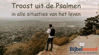 Troost uit de psalmen in alle situaties van het leven Johannes 16:13 Het Boek