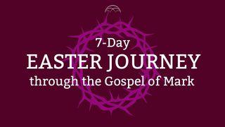 Journey to the Cross: An Easter Study From Mark’s Gospel St. Mark 13:9 Ne Saint Mark 1774