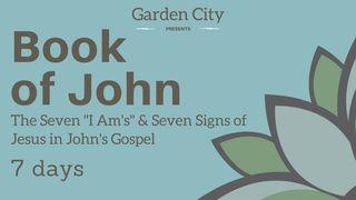 The Book Of John | The 7 "Signs" And The 7 "I AM's" Of Jesus John 8:23 New Living Translation