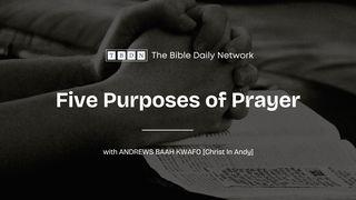 Five Purposes of Prayer උත්පත්ති 26:4-5 Sinhala New Revised Version 2018