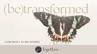 (Be) Transformed Jesaja 51:12 Het Boek