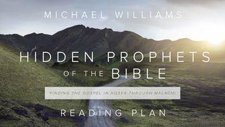 Hidden Prophets Of The Bible Obadja 1:3 Het Boek