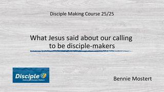 What Jesus Said About Our Calling to Be Disciple-Makers 马太福音 10:2 新译本