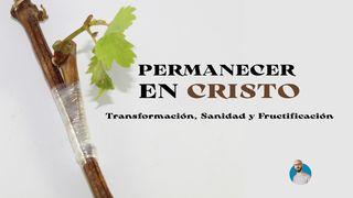 Permaneciendo en Cristo: Transformación, Sanidad y Fructificación Juan 15:1-11 Traducción en Lenguaje Actual