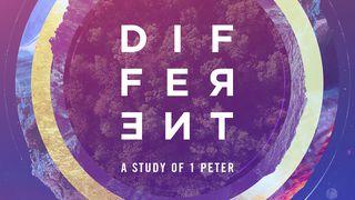 Different 1 Peter 1:2 New International Version