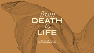 From Death to Life Ephesians 2:17-19 English Standard Version Revision 2016