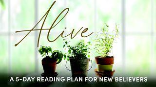 Alive: Grow in Your Relationship With Jesus Hebreos 9:28 Traducción en Lenguaje Actual