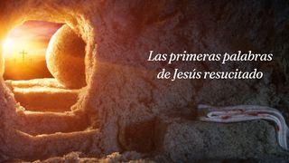 Las primeras palabras de Jesús resucitado Juan 10:28 Traducción en Lenguaje Actual