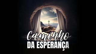 Caminho da Esperança Mateus 13:24-43 Almeida Revista e Atualizada