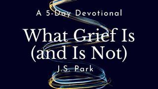 What Grief Is (And Is Not) by J.S. Park யோபுடைய சரித்திரம் 17:11-12 பரிசுத்த பைபிள்