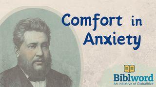 Comfort in Anxiety Exodus 23:30 New International Version