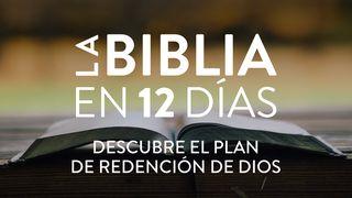 La Biblia en 12 Días: Descubre El Plan de Redención de Dios Hechos 1:1 Biblia Reina Valera 1960