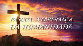 PÁSCOA, a ESPERANÇA DA HUMANIDADE LUCAS 12:15-21 a BÍBLIA para todos Edição Católica