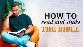 How to Read God's Word मरकुस 10:6-8 डोगरी नवां नियम